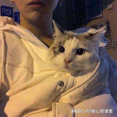 游戏小秘书app下载
